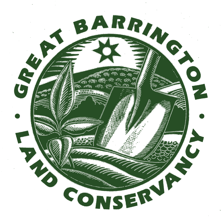 Lake Mansfield Homepage Great Barrington Land Conservancy